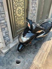 سكنس فحل • مامفتوح • نوزل