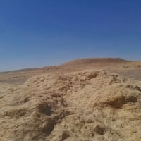 تبن • ٧ كبسات • ما مرشوش مبيد