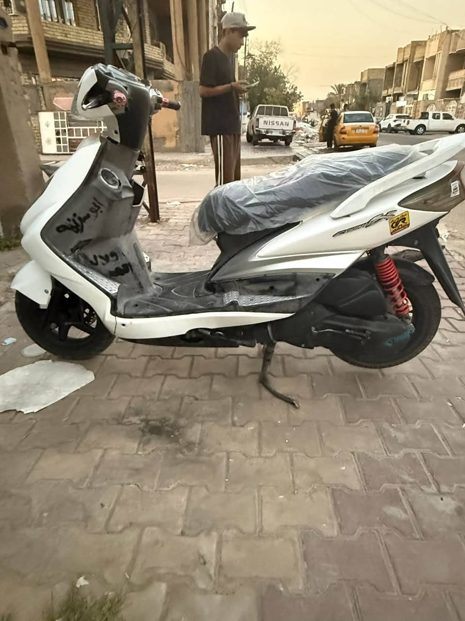 سكنس فحل • كابريتر • مكفول