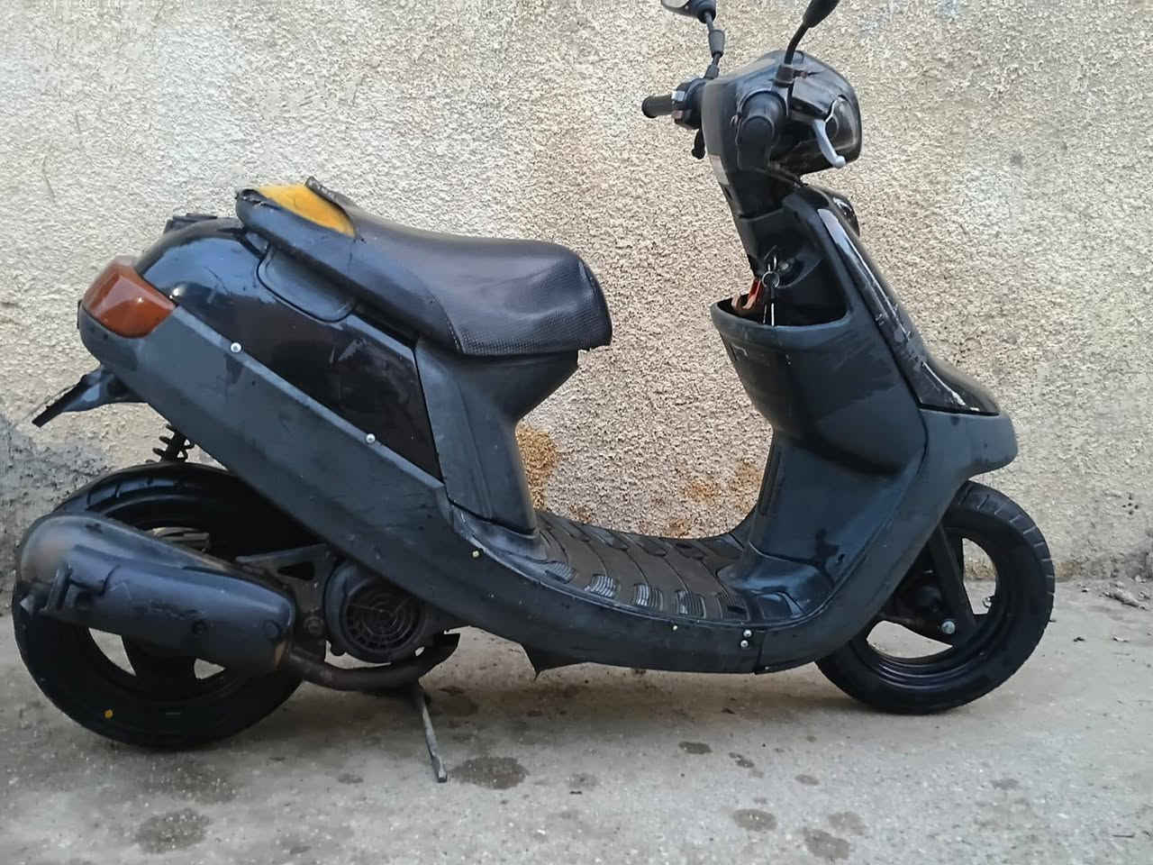 بطة • ٦٠ • كفالة