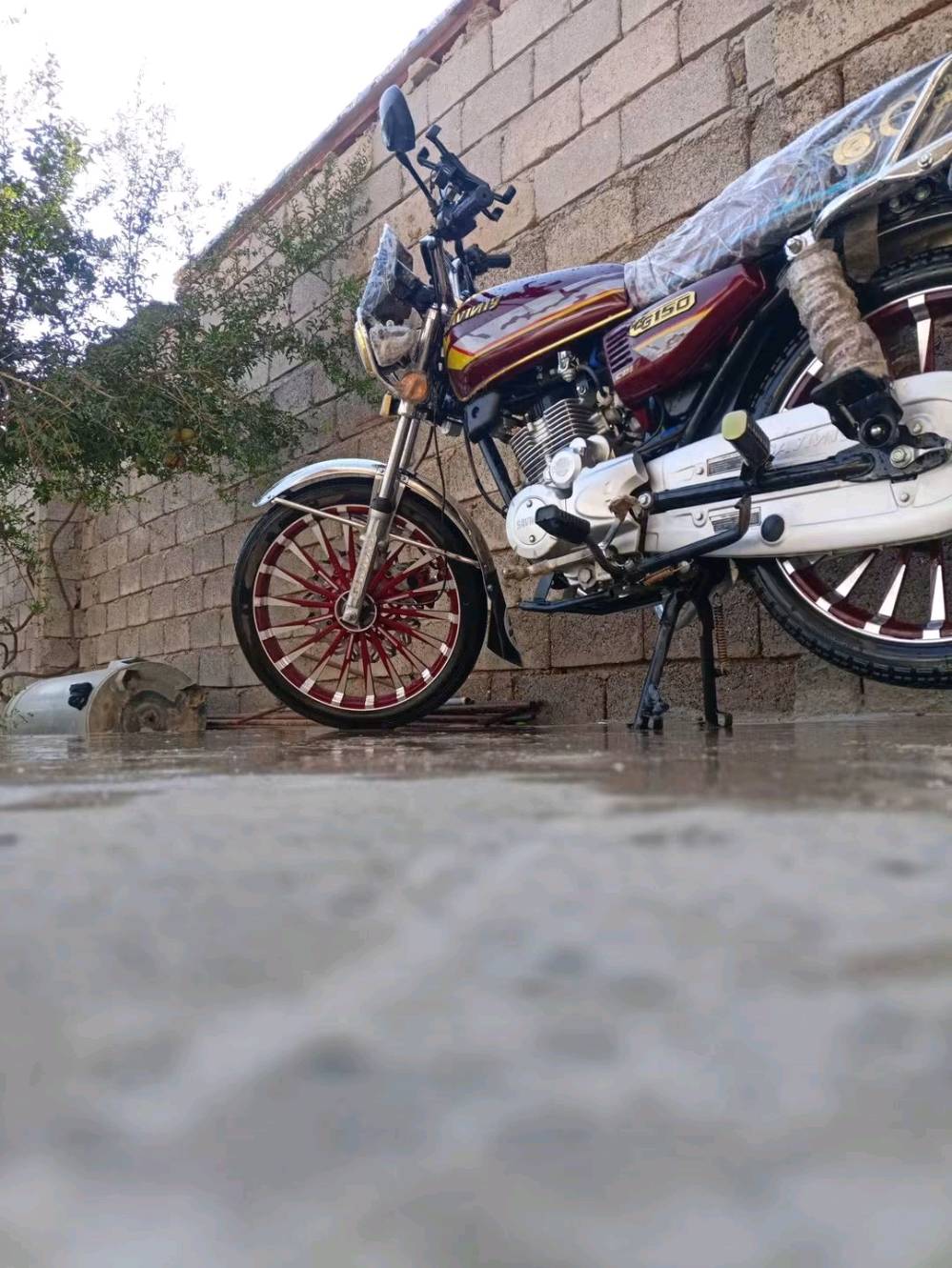 سيفان • ١٥٠ • بصمة