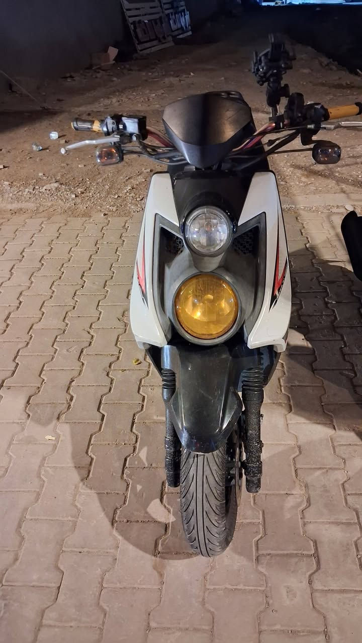 سكنس جبلي • جديدة • مجال قليل