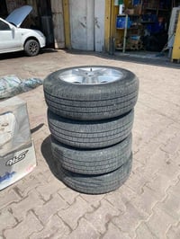 ويل كب • جديد • ٢٠٢٤