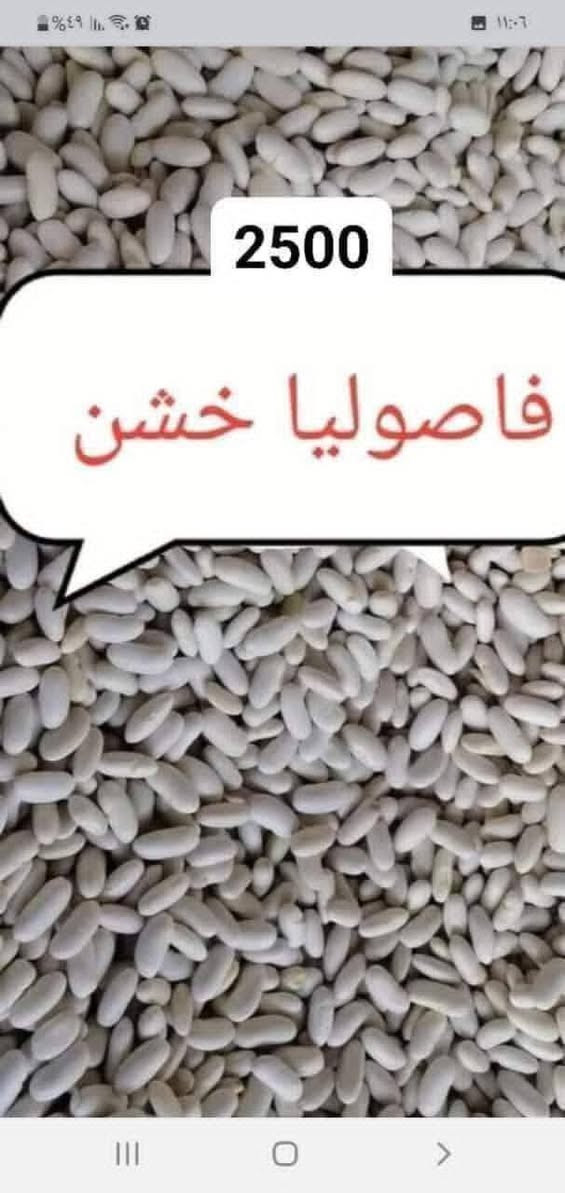 جوز امريكي • فاصوليا خشن • حليب