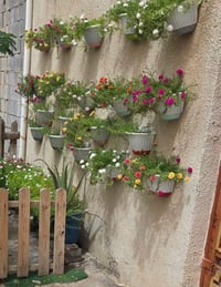 عرض محدود • ٤ قطع • حجز واتساب