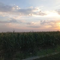 قريه العطشانه • ٥ دونم • مال سيلاج