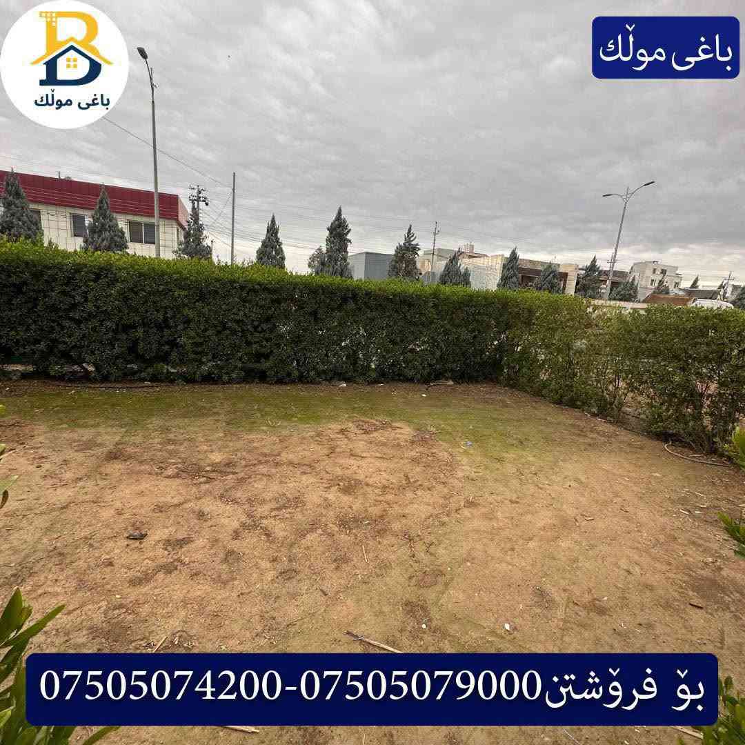 مقابل ٣٢پارك • ٢٥٠م • ٥غرف