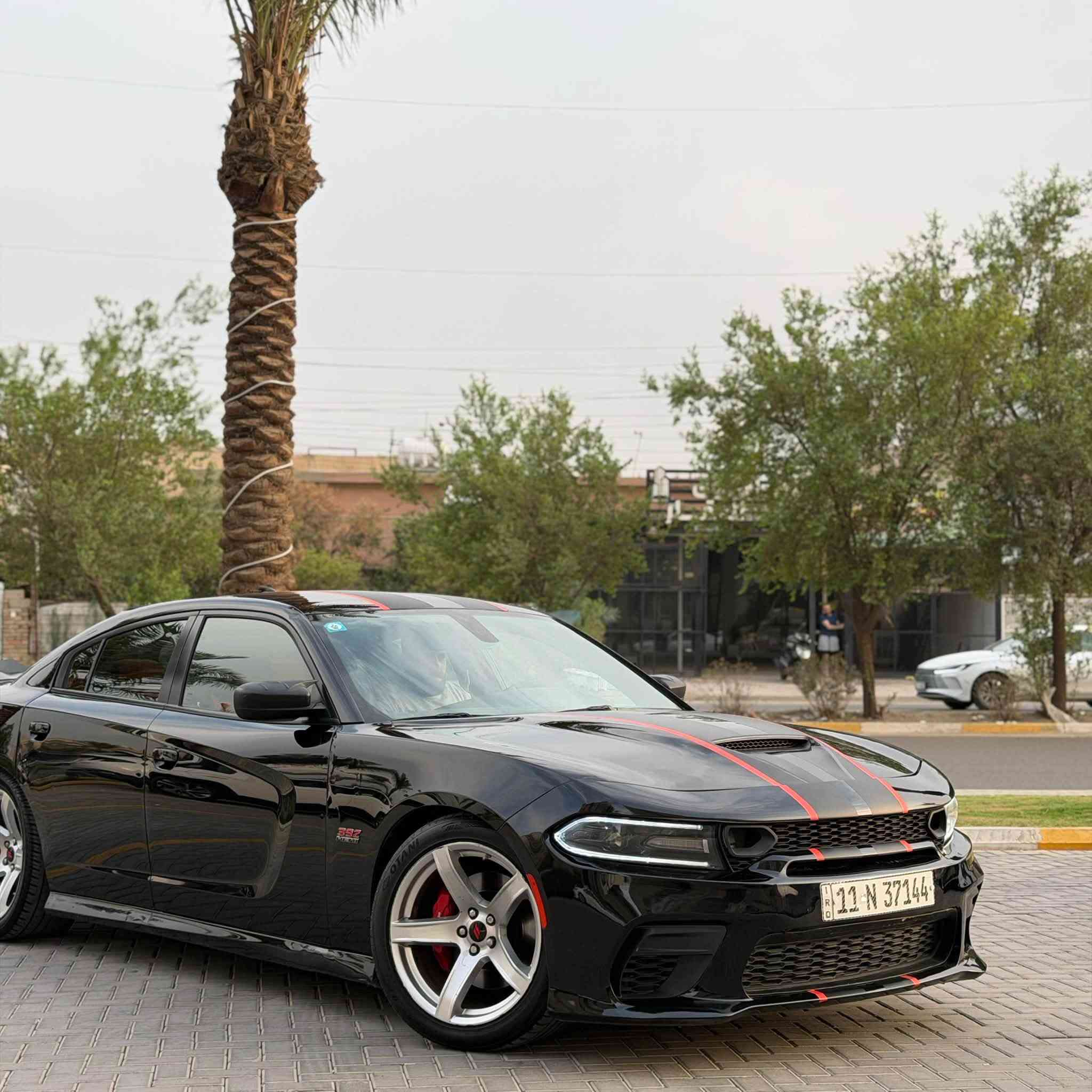 سكات باك • V8 ٦٤٠٠ • رقم بغداد