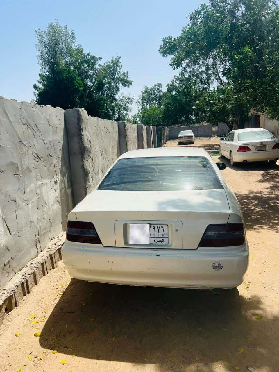 بصره سنويه 28 مكينه گير تبريد كصه جنطه السعر 45
***********
