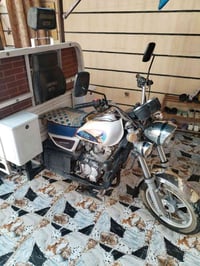 ستوتة • فحل • ٢٠٢٣