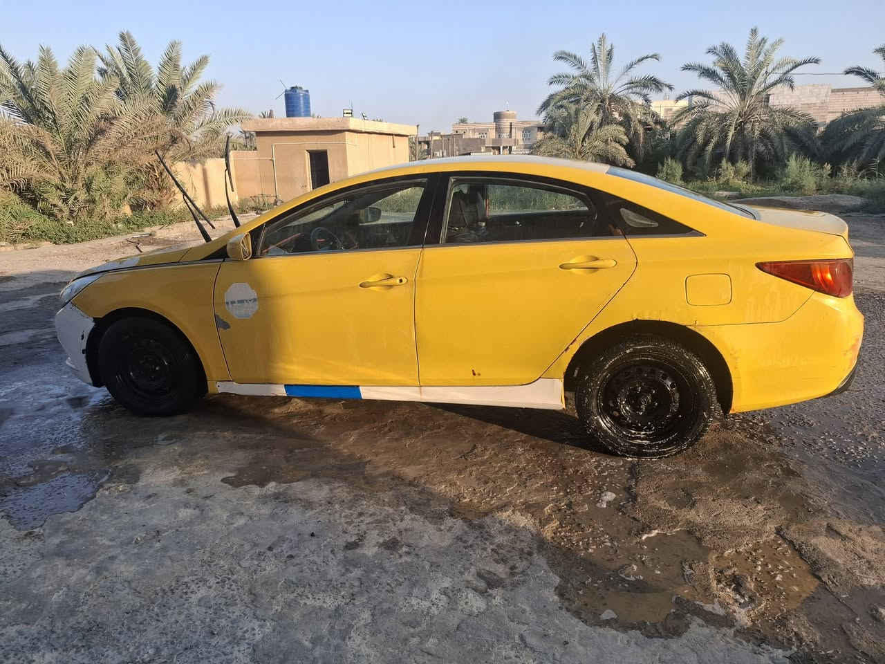 سوناتا ٢٠١١ • وارد كوري • رقم بصره