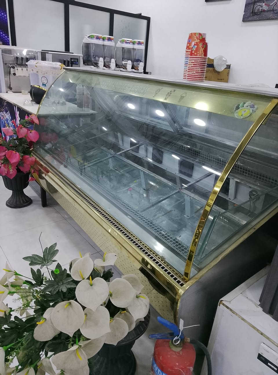 مكلف بل نشر /***********
