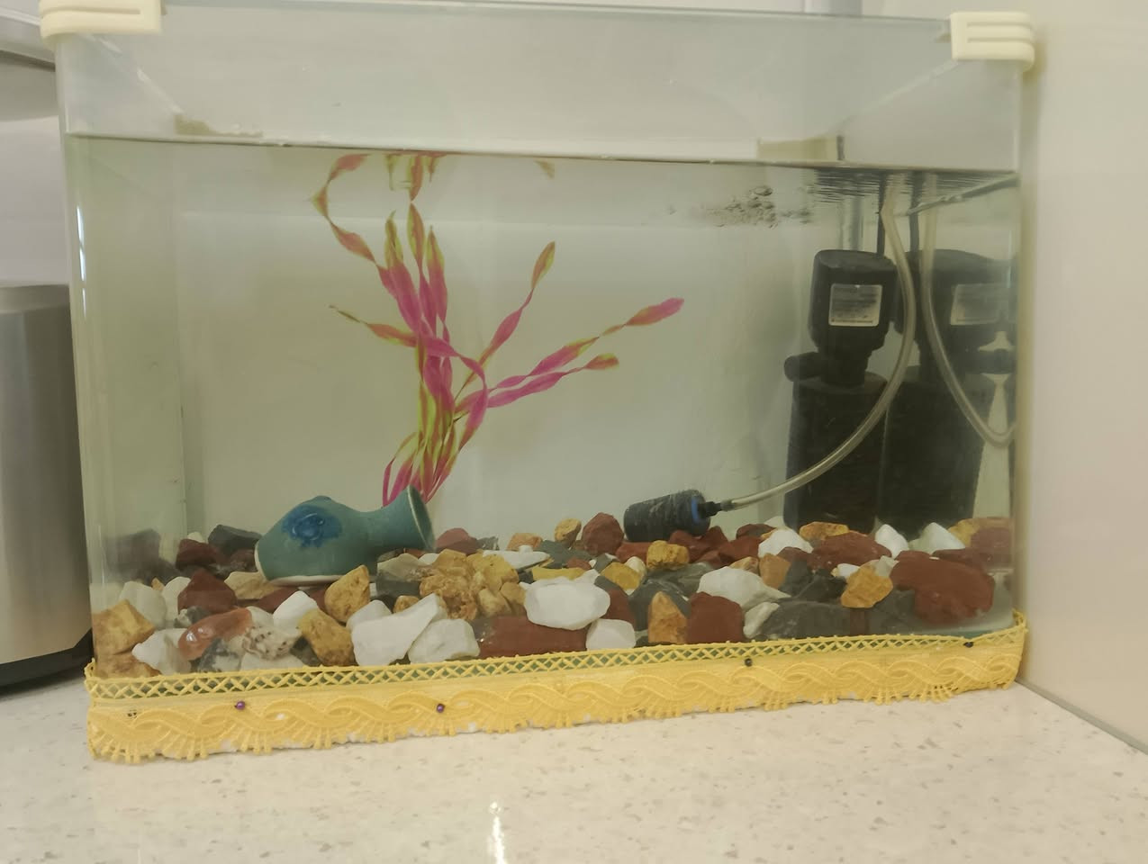 سلام علیکم 
حوض سمك للبيع 🐠

الحوض متكامل ويأتي مع كافة الملحقات والجاهزية التامة، وتشمل:

• فلتر مياه

• جهاز أوكسجين (من أفضل الأنواع الممتازة)

• خشب ديكور طبيعي (دار)

• حجر مخصص لأحواض الأسماك

💰 السعر: 35 ألف (وقابل للمجال والمراضاة)

📞 رقم الهاتف للتواصل: ***********

سلام علیکم حەوز ماسی بۆ فرۆشتن

گشت شتیکی لەگەلە 

فلتەر + ئوکسجین + دار +بەردی حەوزی ماسی + 

باشترین ئوکسجینی پێوەیە 

نرخی : 35 مەجالی تیایە 

ژمارەی تەلەفون ***********
