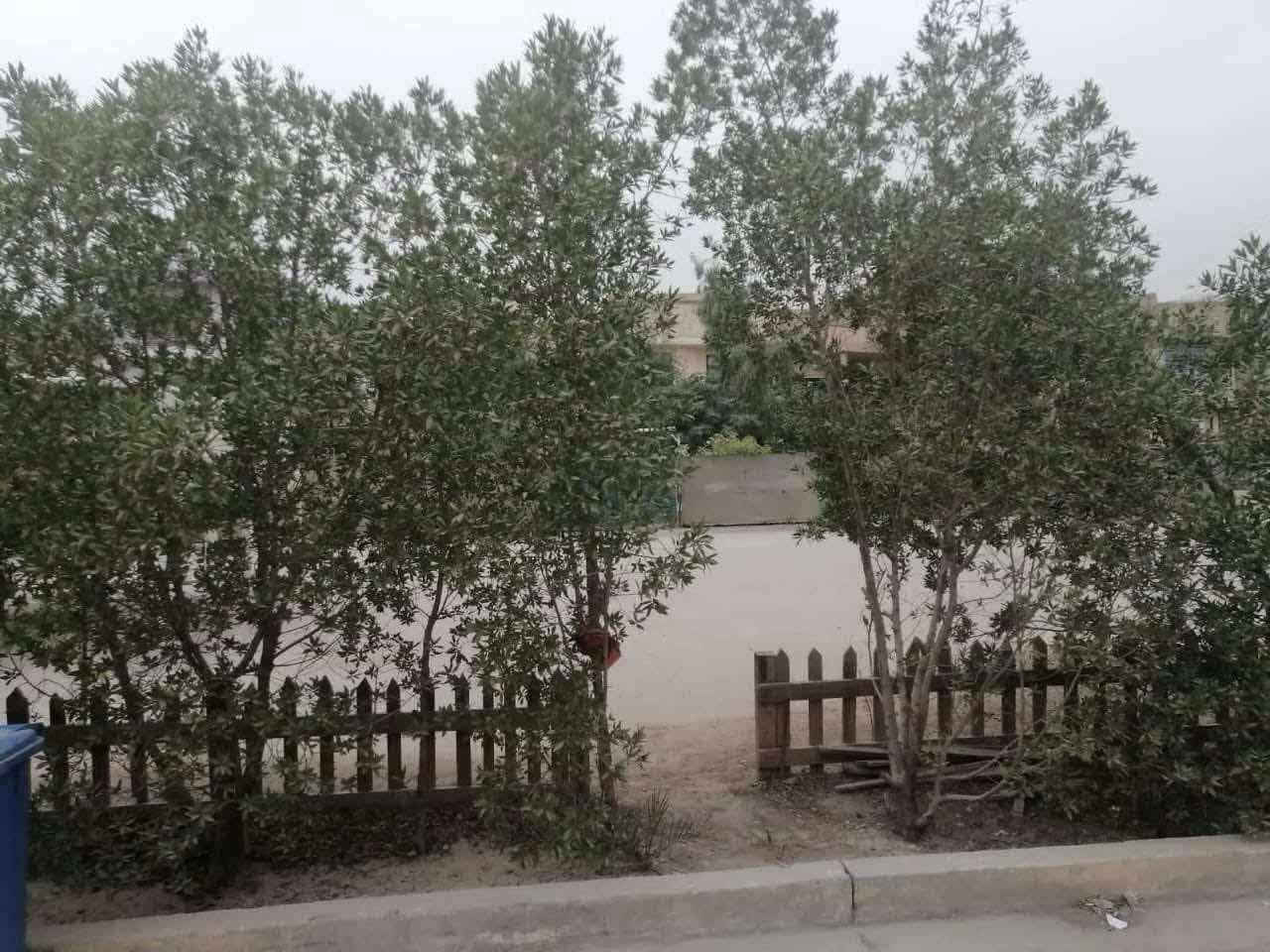 البلديات المضمار • ١٥٠م • طابو صرف
