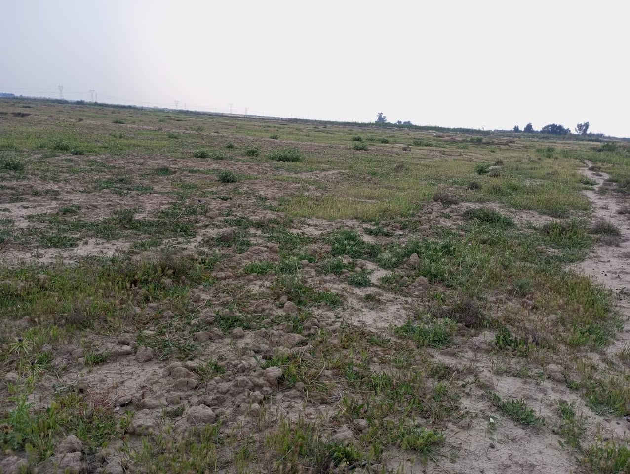 أرض زراعيه لبيع المساحه ٤٠٠دونم متوفر كافه الخدمات ماء كهرباء طريق كوت نعمانيه لاستفسار ***********و ***********
