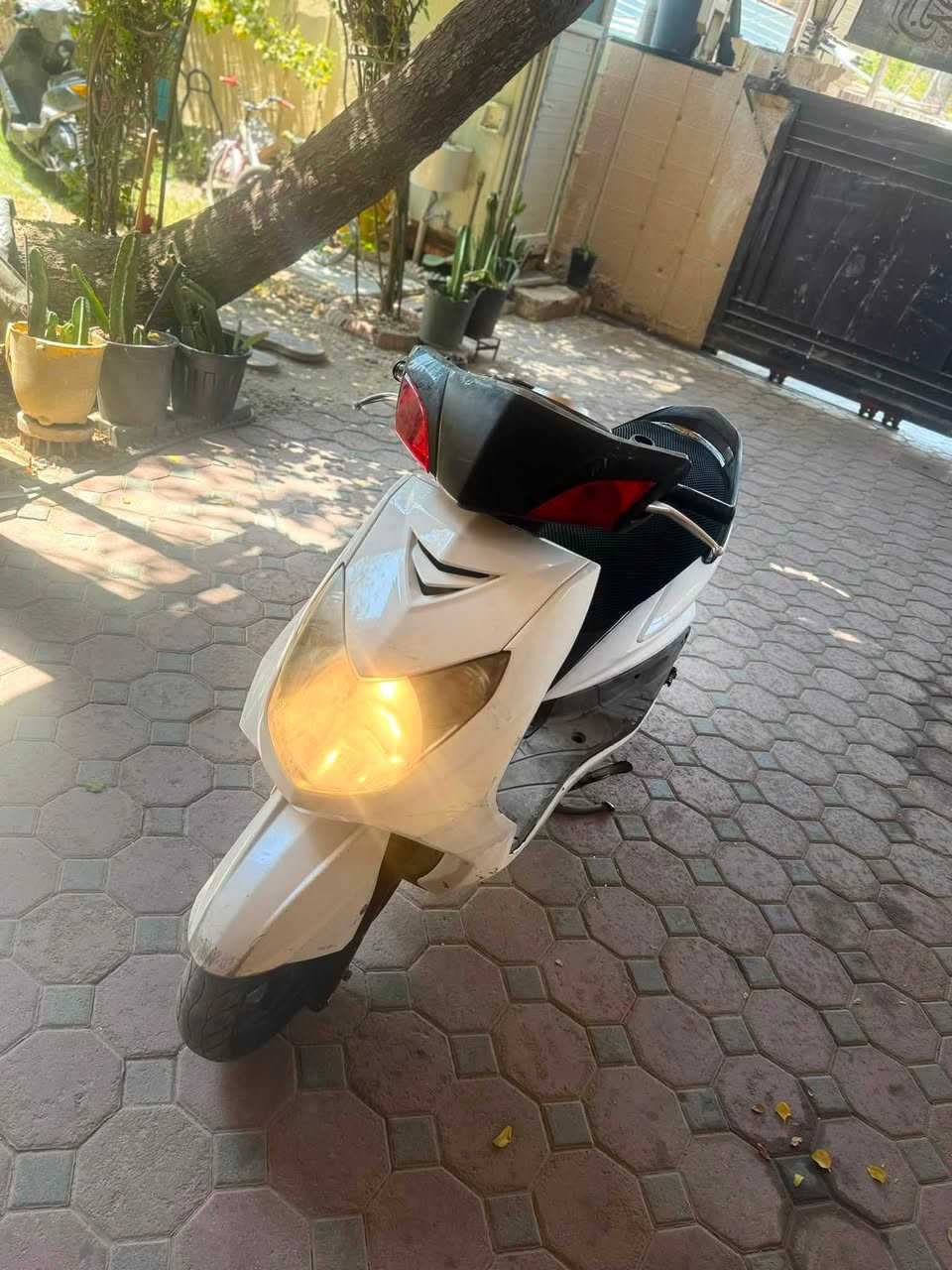 سكنس فحل كفاله عامه رمبه رمبه برغي نقص مابيها ممفتوحه تاخذها من باب البيت وجيب لفيتر ليعجبك مكاني بغداد حي اور *********** السعر 600
