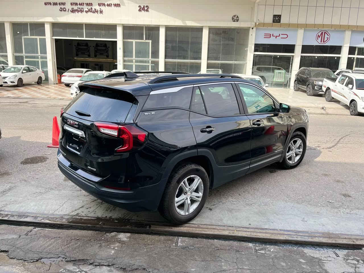 تيرين SLE • ٢٠٢٤ • بدون صبغ