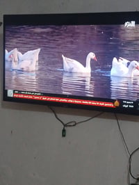 شاشه حجم 50 نظيفه ما داخله تصليح07813027737