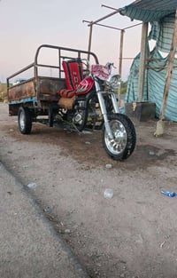 ستوته • اوراق صولي • مديل 17