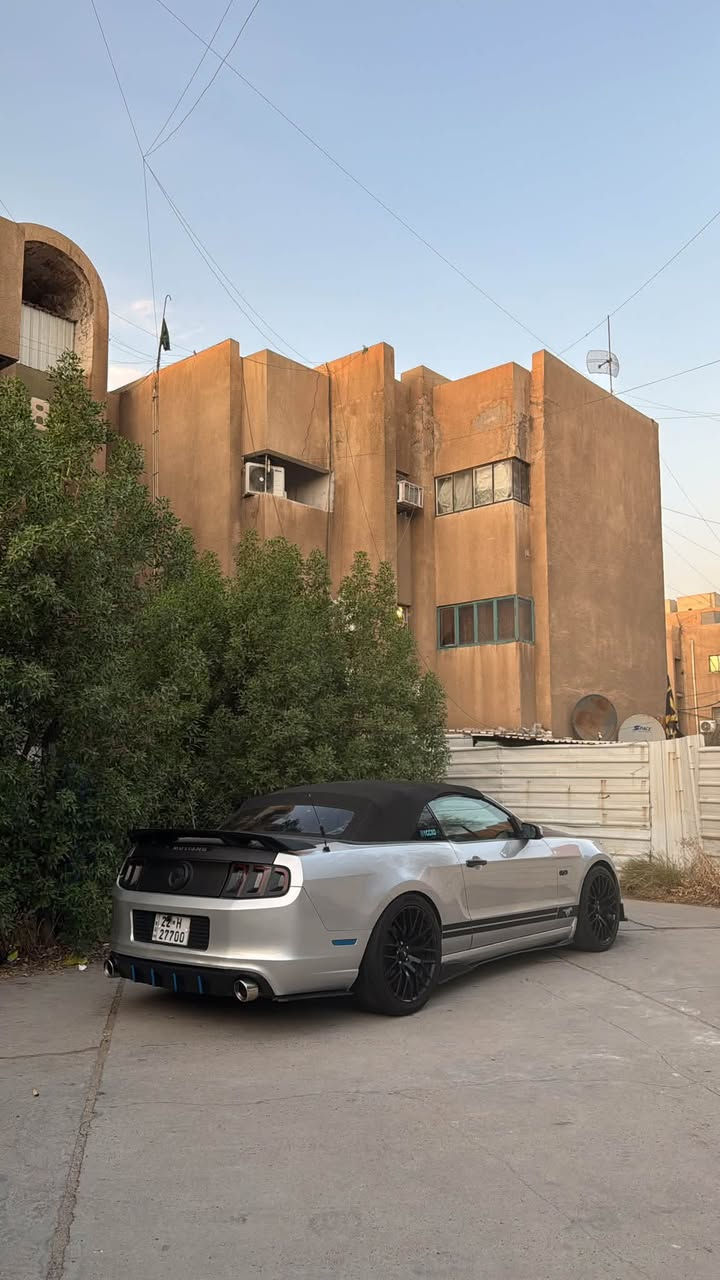 موستنك 2013 v6 كشف
للمراوس بـ4 باب فقط
قطعتين صبغ ( جاملغ سايق + نص باب الراكب كلير )
البنيد مبدل شيلبي
رقم اربيل شبه مميز بأسمي
كلشي بيها مكفول 
الاضافات :
ويل تراك بكج ٢٠ اصلي تو سايز تخم تاير جديد
دوسات ولحية ودفيوزر كله RTR 
حلوك صالنصة borla 
يدات باب كاربون فايبر بنيد كاربون فايبر
كيج بريميوم ٧ الوان 
عليها ادامة كاملة وترايك والفحص وين متريد 
تفاصيل اكثر خاص او اتصال ***********
