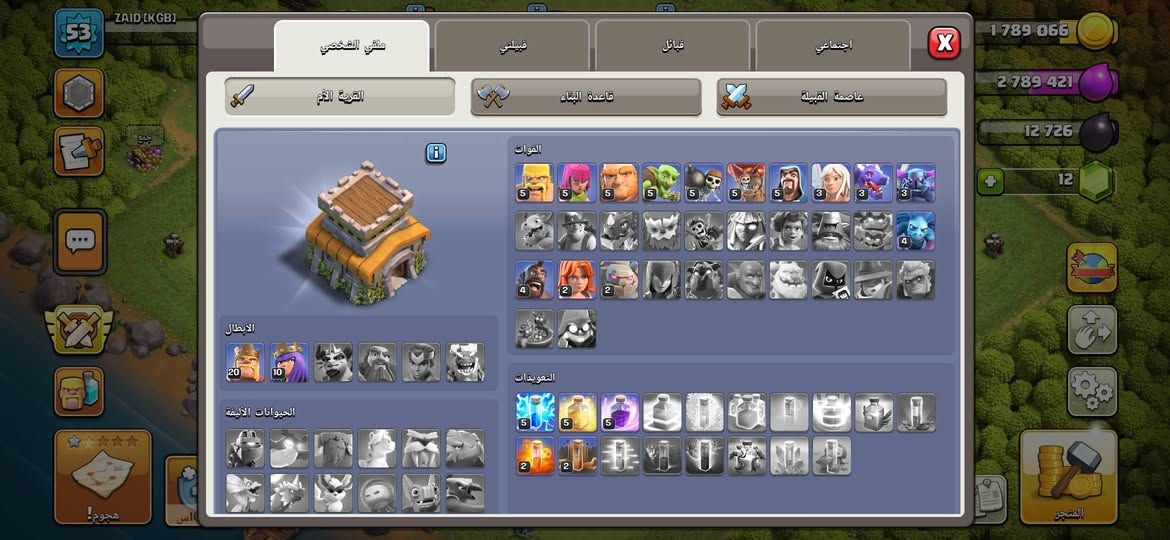 كلاش اوف كلانس • تاون ٨ ماكس • كمية مفتوحة