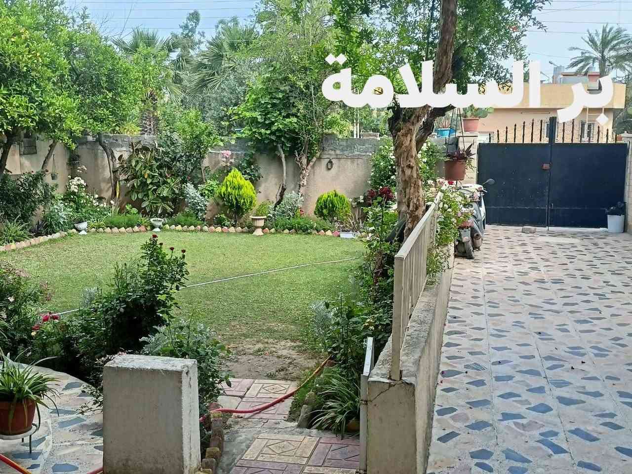 دار للبيع حي العربي قرب جامع الذاكرين 

366متر واجهه 12.5متر 

الدار طابقين مع بيتونه يحتوي على (8)غرف وكراج واسع وحديقه 
الدار صالحة للسكن 

للاستفسار اكثر مراجعة مكتب بر السلامة للعقار  مدخل الكندي الثانيه للاتصال ***********+واتساب 
نستقبل جميع عروض البيع والشراء
