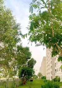 شقة • ١٠٠م • أرضي بلوك B3