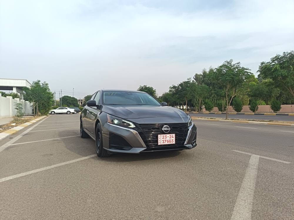 التيما S • ٢٠٢٥ • بدون صبغ