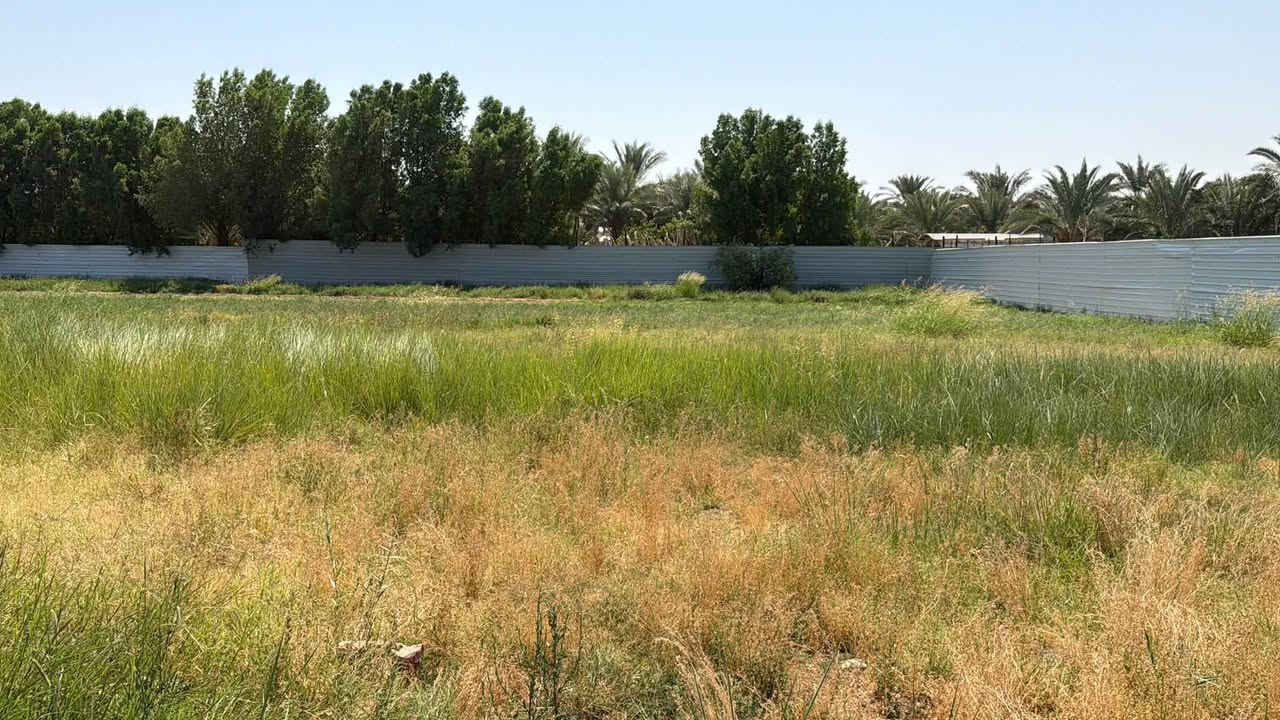 للبيع 4دونم مع بيت يتكون من ٣غرف نوم و٢صالات ومظيف ومطبخ حار وبارد وصحيات خارجيه وداخليه طابوزراعي سند ٢٥ على طريق السنيه جيهت الزوار تنزل تبليط ٣٠٠ متر عن التبليط ٦٠ متر بناء جديد صارله شهر من كمل شغل درجه أوله الها مضخه خاصه من الشط الديوانيه للستفسار تعال خاص اواتصل على الرقام ***********
***********@إشارة
