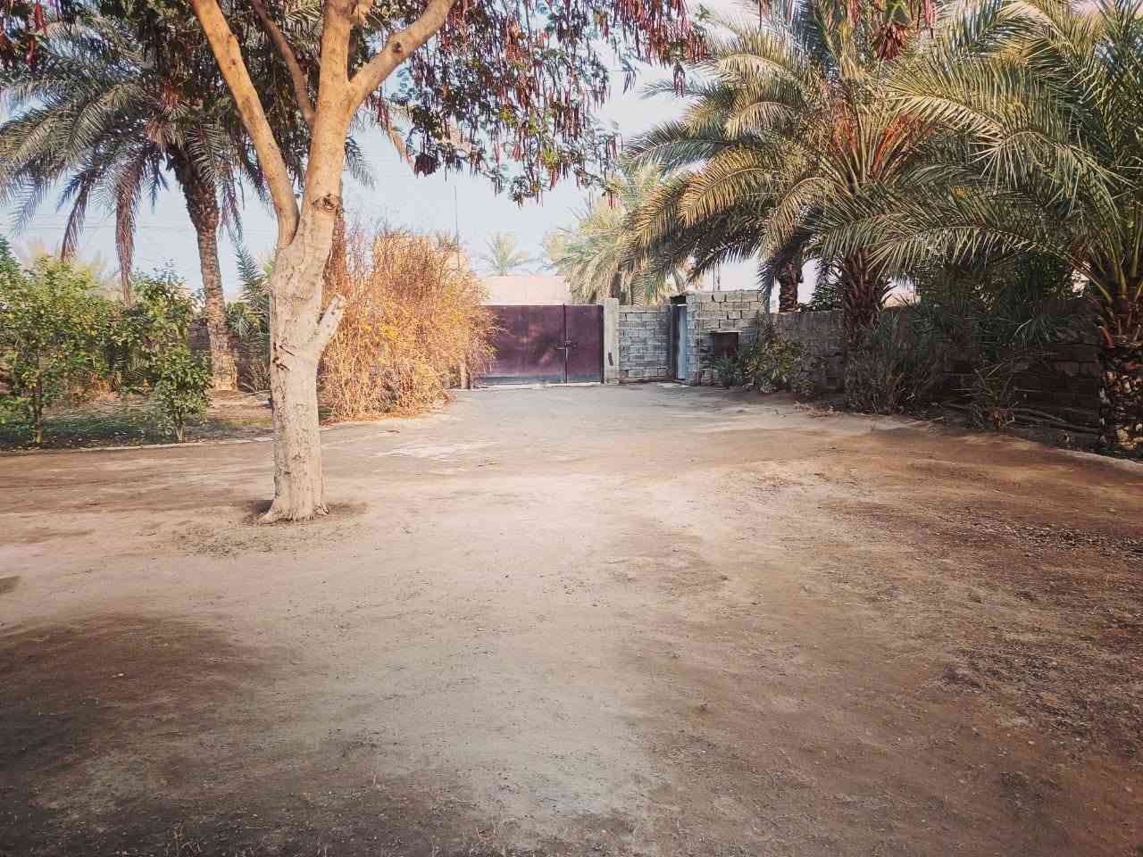 الشهابي الثالثه • ١٠٠٠م • قريبه مجمع الماسه