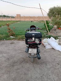 سونك • ٤اشهر • من الوكيل
