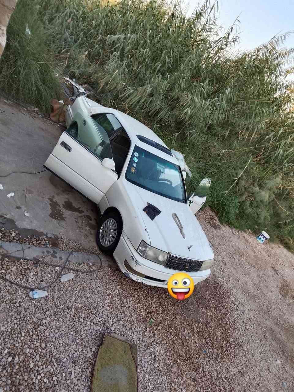 ***********.   ***********.   مراوس ملكه
