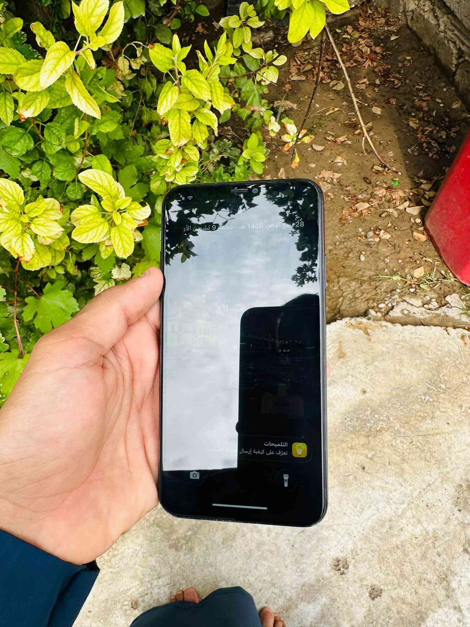 آيفون ١١ برو ماكس • ٢٥٦ • شاشه اصلي