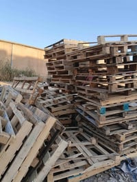 سكيبه سير • ١٠٠ • بغداد الدورة