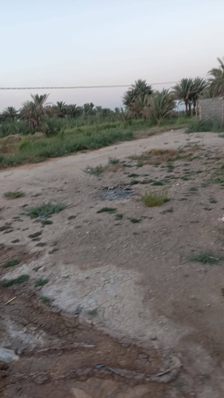 طريق كربلاء طوريج • ١٠٥٠م • بيت ٢٠٠م
