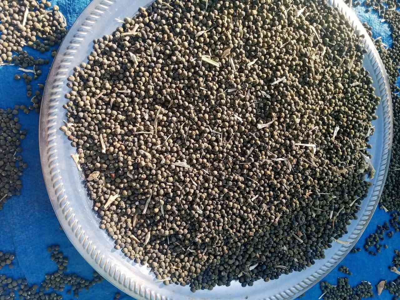 بزر • فلاح • قضاء الصويره