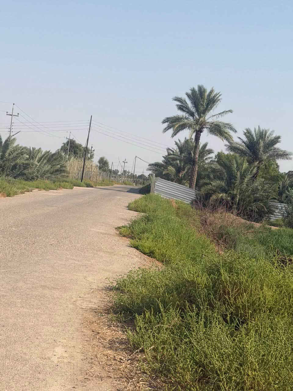 دوانم للبيع عقد 17 نخل وشاطيه بيهن
الموقع المزبانيه قرب بستان مزهر البهادلي 
للاستفسار الاتصال ‭***********‬
