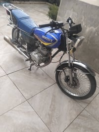 ساڤینی • 2020 • شغال