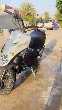 ماكس عدلة • رياضي WF • تعمير جديد