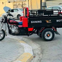 ستوته • ٢٠٢٤ • دلي عباس
