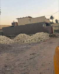 زراعي • ٥٠م • سند ٢٥ باسمي
