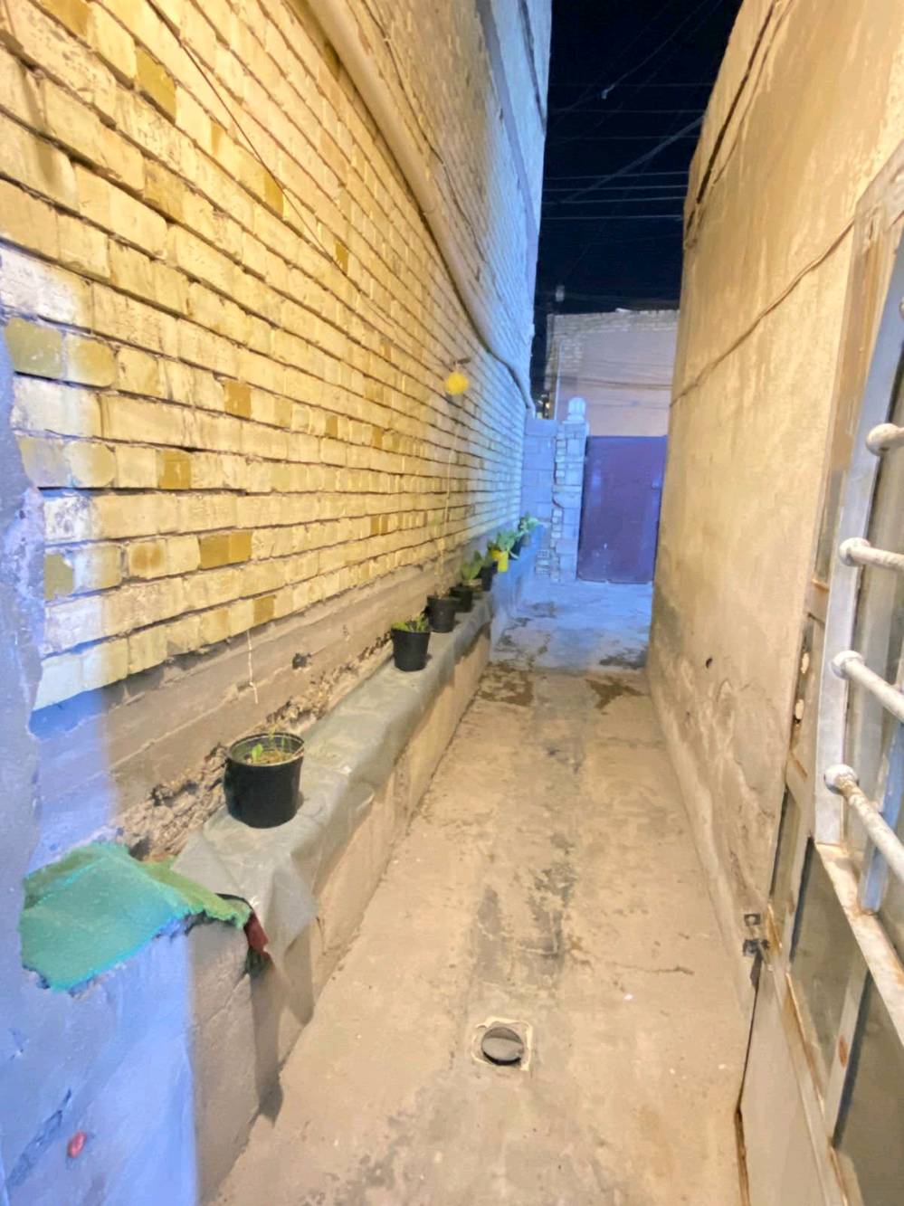 بيت زراعي 117مساحة 140 متر على شارعين المكان بغداد الزعفرانيه منطقه زوراء قرب مجسر جديد(مجسر اسواق مريم) يبعد عن شارع لعام 150 متر بيت بناء بلوك وعگاده بيت جاهز تريد تكعد بي تريد تفلش وتبني مشتملات بيت موقعه حلو على شارعين يعني اذا تفلش تبني بيوت ثنين سعره 65 وبي مجال ***********