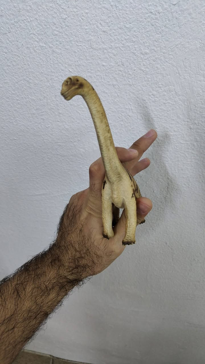 للبيع دينصورات حجم كبير للحجز تواصل واتساب *********** وارفاق صورة المجسم المطلوب توجد خدمة توصيل الى كافة العراق
