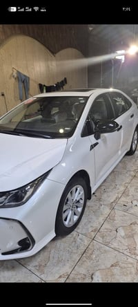 كورلا فول • ٢٠٢٤ • رقم اربيل