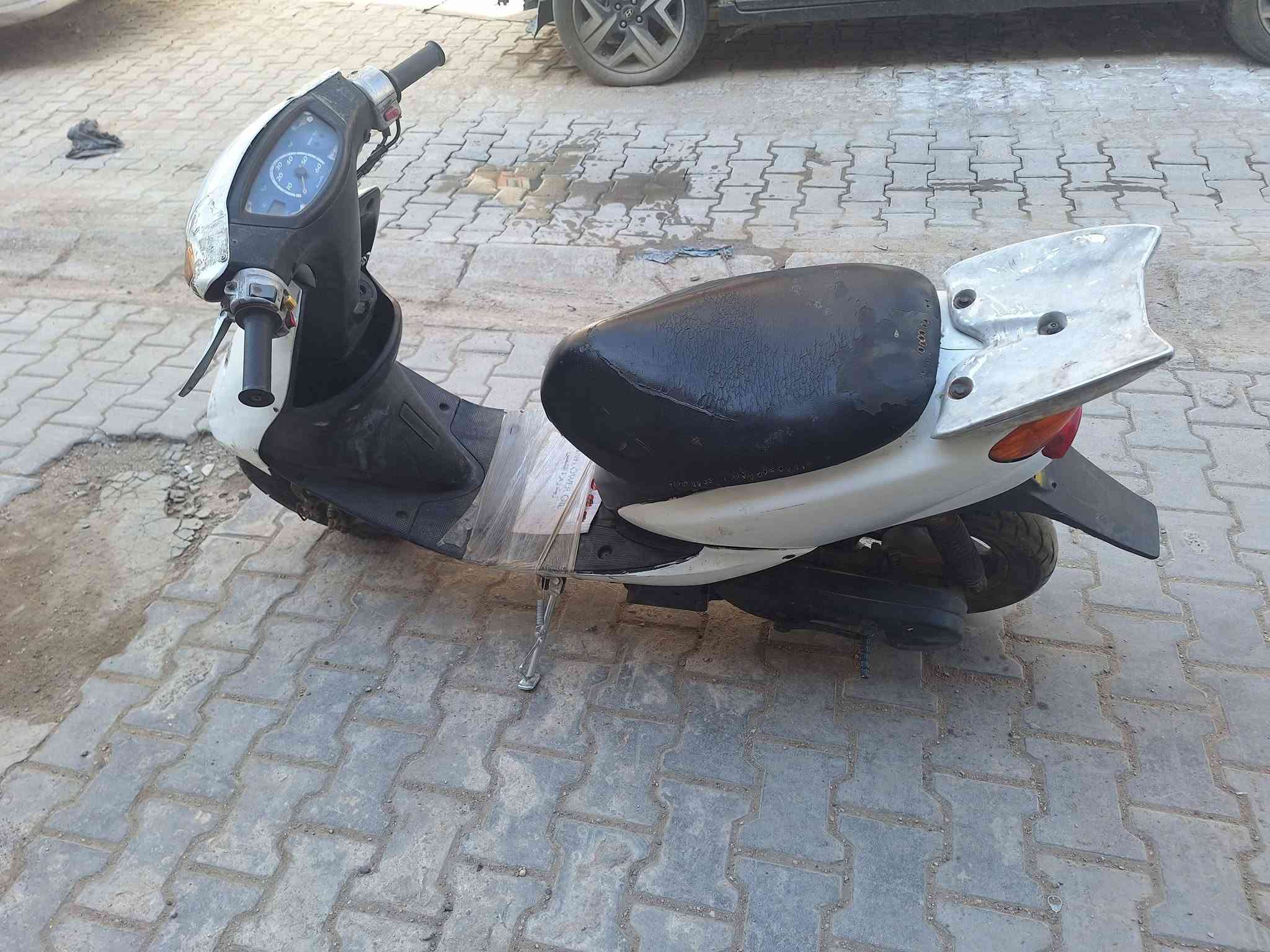 عصفورية • ابيض • مكفولة