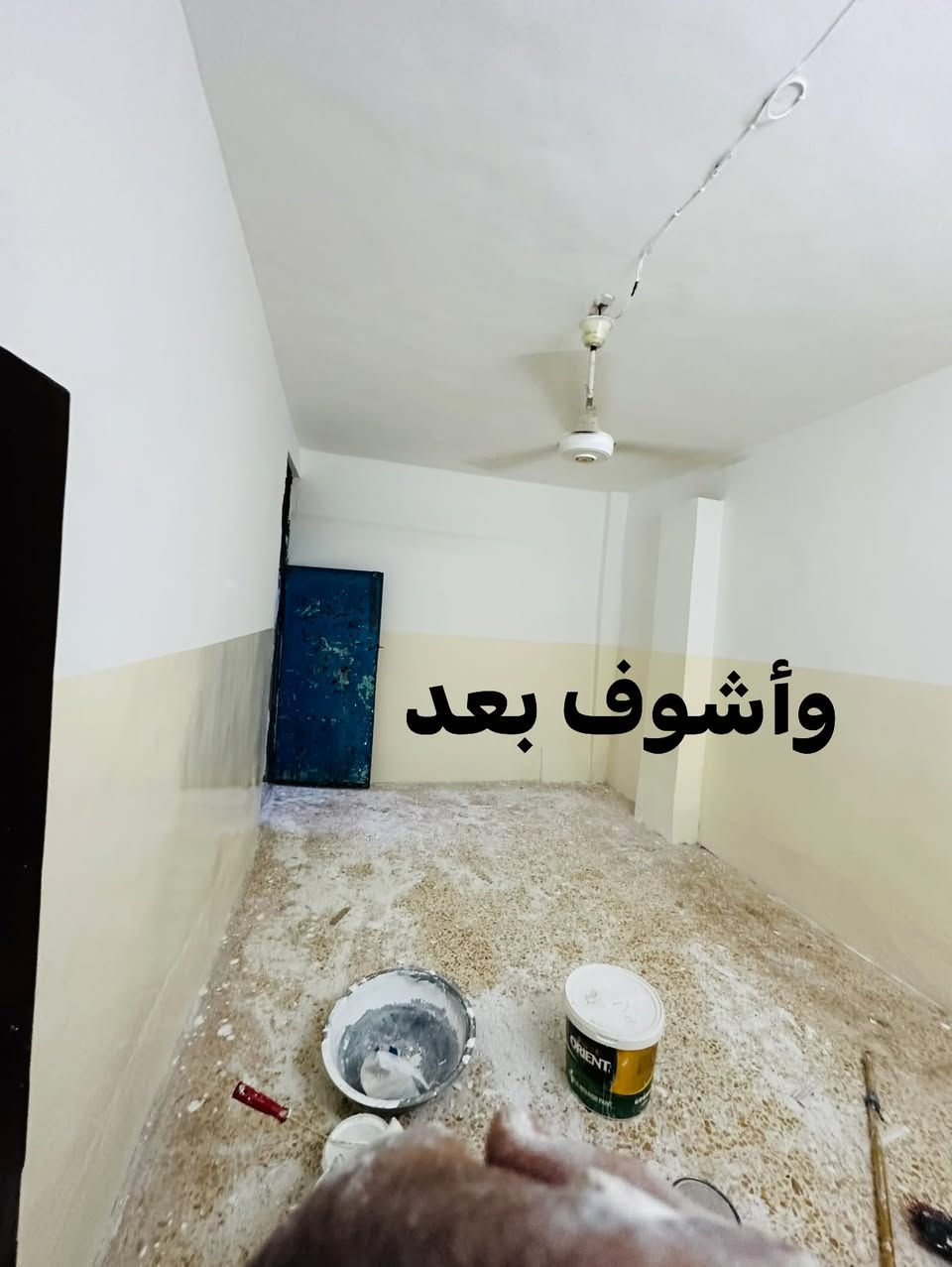 صبغ • أي شيء • سعر مناسب