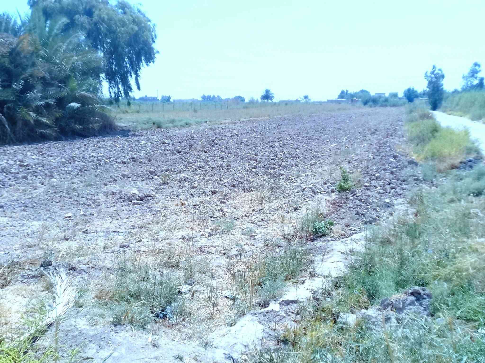 ربيع سلام عليكم أرض للبيع منطقية اليوسفيه مع كافة الخدمات ماء كهرباء سحب ذهبي اساله مدرسه مستوصف ***********
