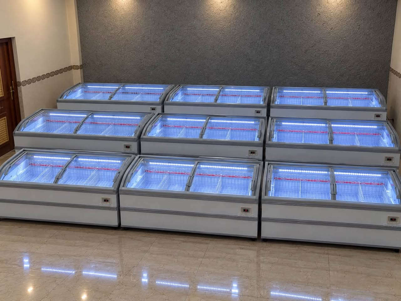 عارضات • المانيا • ٢٫٥م