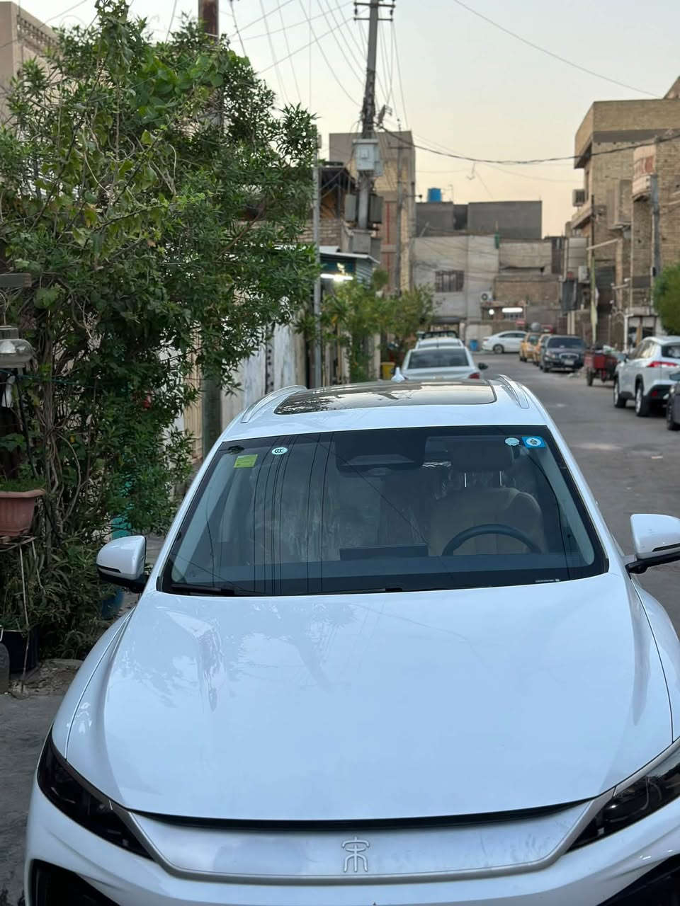 Byd سونك برو فول
سقف بونراما 

لد داخلي متغير بلادي 

١٣ كامرة 

فول رادارات +حساسات 

قيادة ذاتية 

اوتو بارك 

مري شفط واشارة 

صندوق كهربائي شفط 

مكفولة من كلشي 

ماشية ١١ الف الكلي 

جديده بعده بيها خام الشركة 

السعر ٢٨ مليون و٣٠٠ 

مكاني بغداد حي العامل

باسمي السيارة تحويل ثاني يوم 

***********
