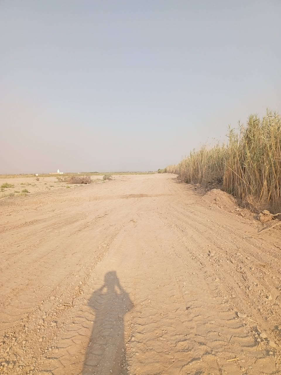 السلام عليكم 30 دونم طابو زراعي سند 25 على طابو الفلوجة فتح بيان ثاني يوم بأسمك متوفر جميع الخدمات ماء وكهرباء واجهية دونم الواحد 50×50 سعر الدونم الواحد 10 مليون وبي مجال موقع الأرض تاجي سبع البور منطقة الشيخ عامر منطقة العيساوية للاتصال والاستفسار *********** واتساب
